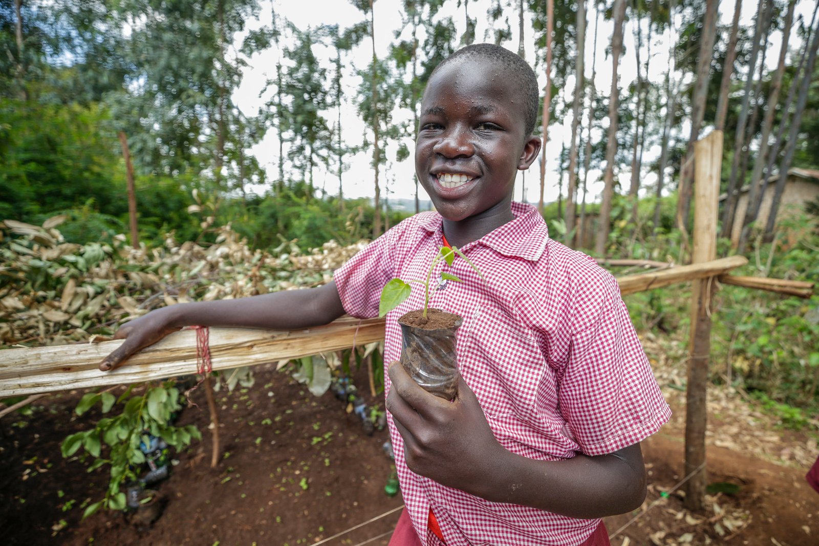 Strategic Partner at WDF