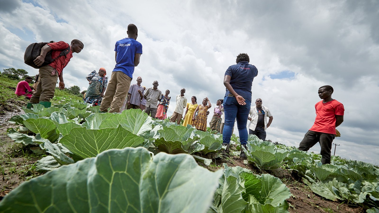 Tulime Garden — WDF